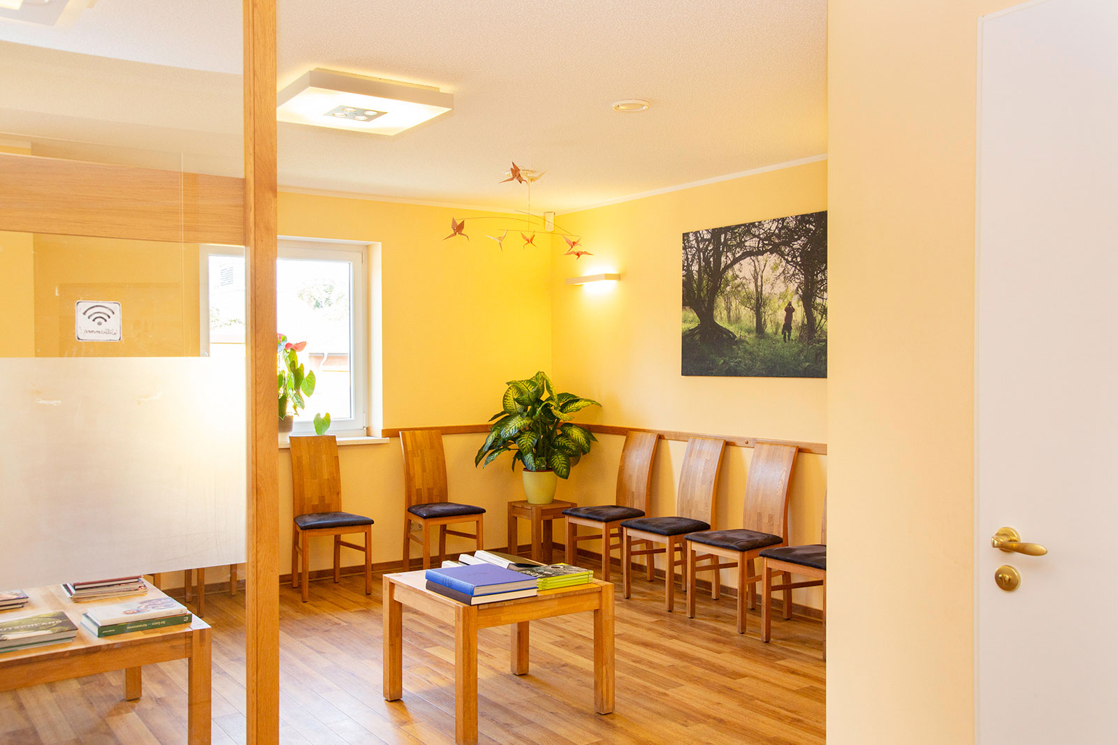 Dr. Andreas Riedel - Fachzahnarzt für Kieferorthopädie in Greifswald